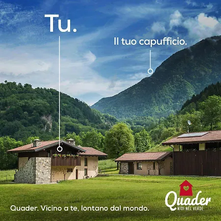 Quader Nidi Nel