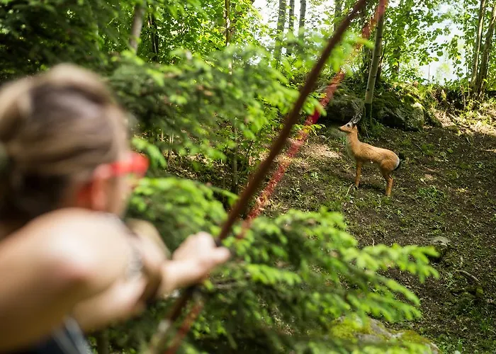 Quader Nidi Nel Bienno