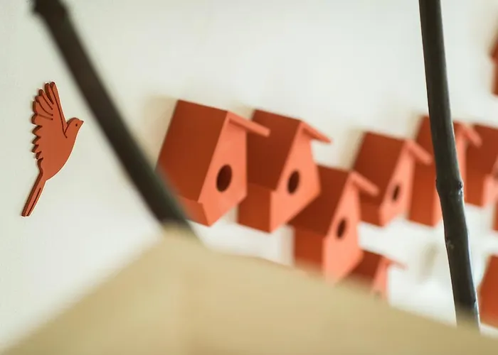 Quader Nidi Nel Kır Evi Bienno