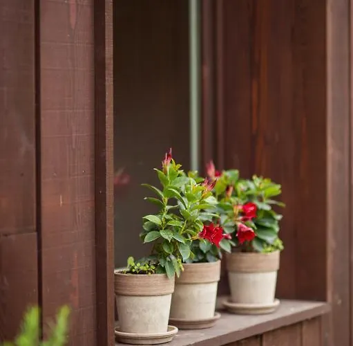 Quader Nidi Nel Kır Evi