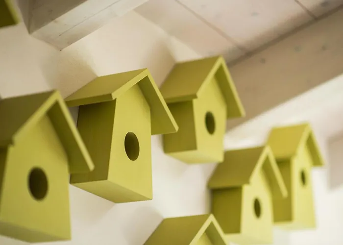 Quader Nidi Nel Kır Evi *