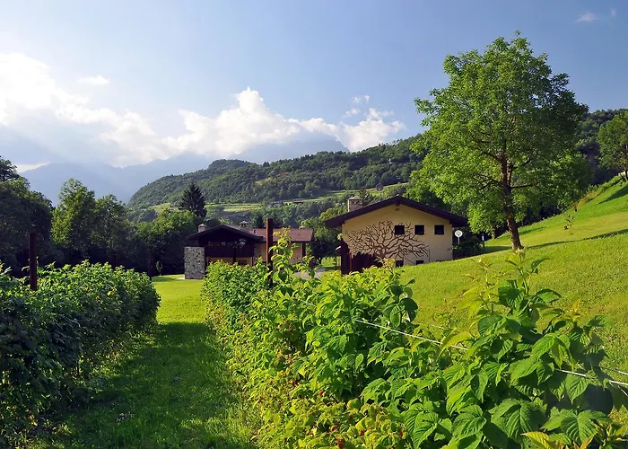 Quader Nidi Nel Bienno