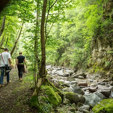 Lantställe Quader Nidi Nel